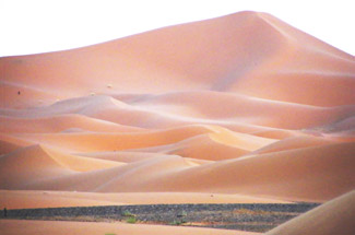 Moroccan Sahara