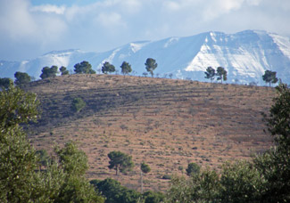 Mountains