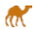 camel or mule ride